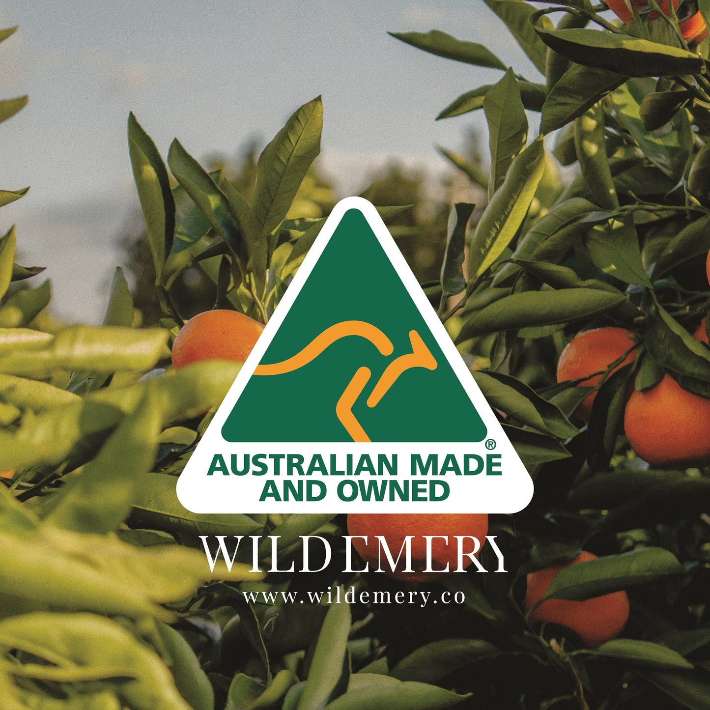 Wild Emery logo with Australian made and owned text over a background of green leaves and oranges.