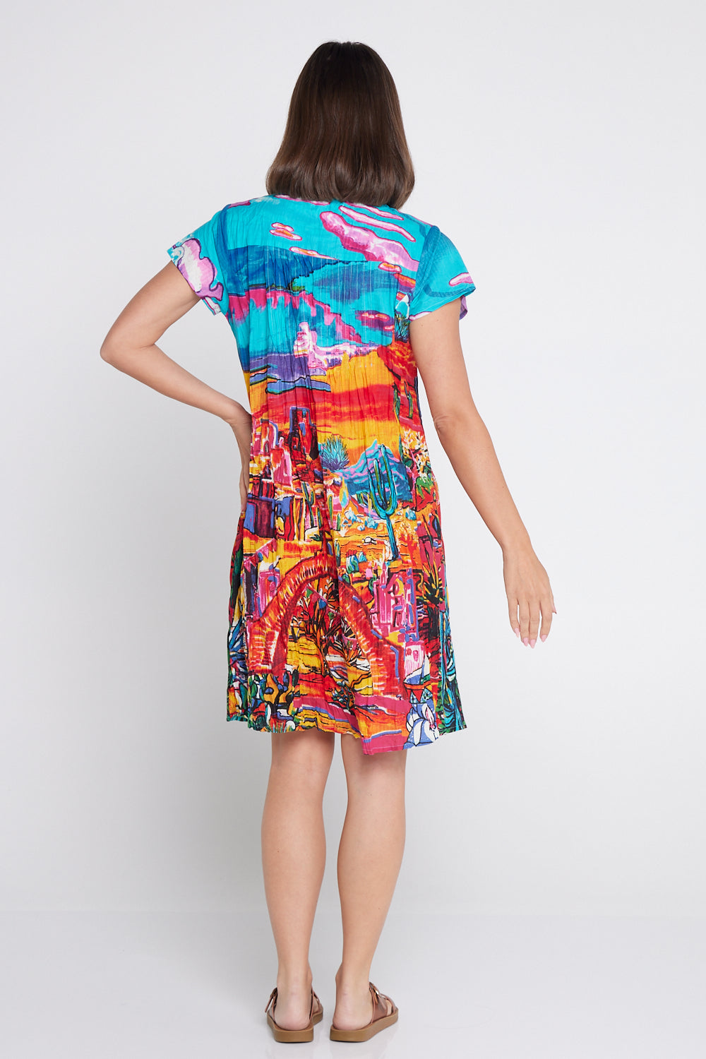 Ocampo Easy Fit Cotton Dress - Cactus Print